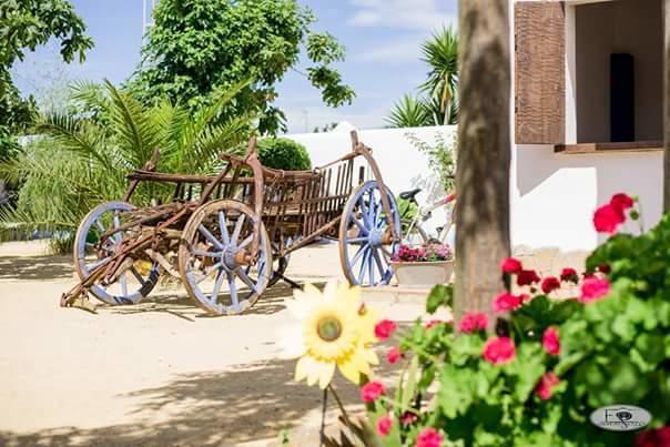 Alojamiento Rural "El Charco Del Sultan" Conil De La Frontera Exterior foto